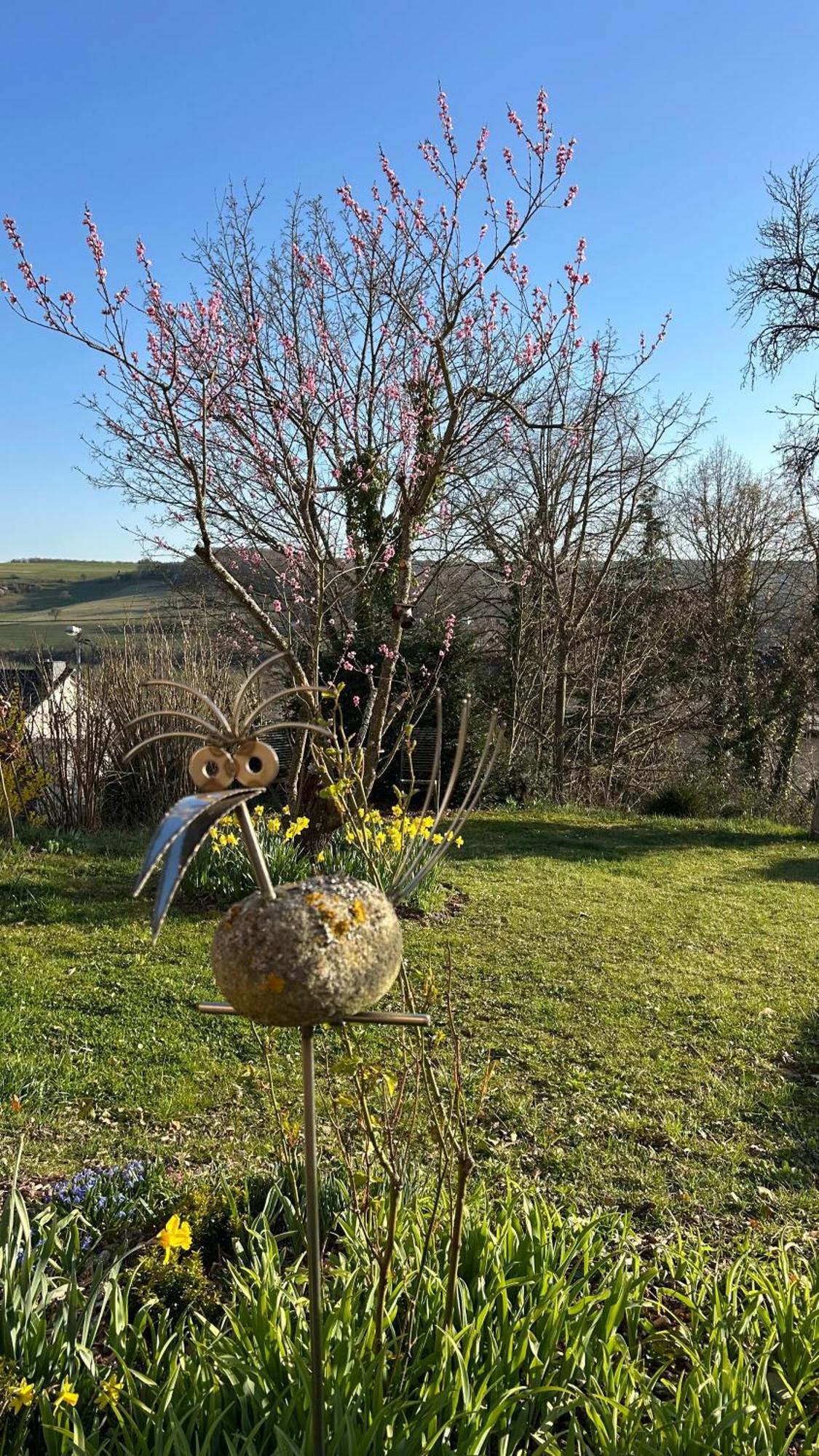 Panoramablick * Bad Sobernheim